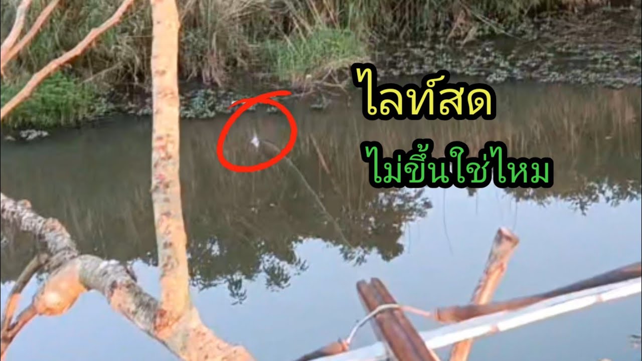 ไลท์สด..ไม่ขึ้นใช่ไหมต้องโดนแบบนี้