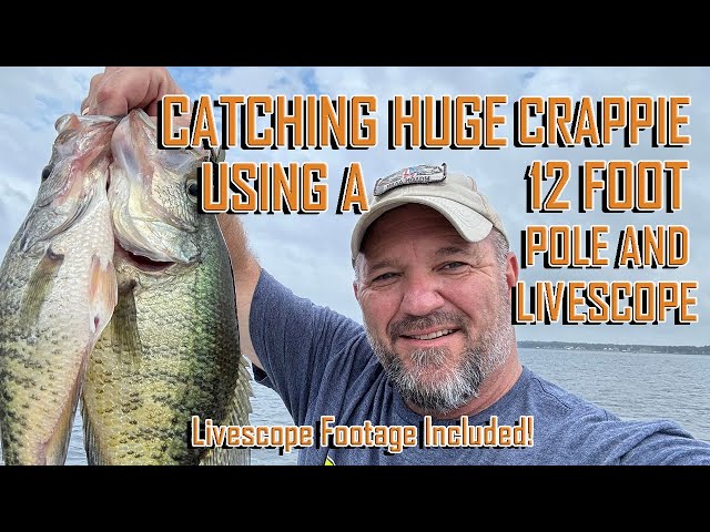 Crappie Fishing With A Buck's Jig Pole - Lake Guntersville 