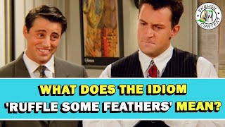 Idiom 'Ruffle Some Feathers' Meaning
