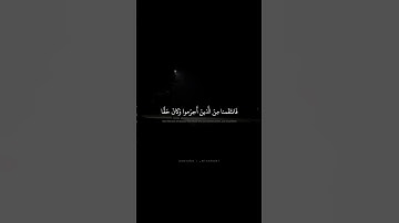 وَلَقَد أَرسَلنا مِن قَبلِكَ رُسُلًا إِلى قَومِهِم | محمد صديق المنشاوي | سورة الروم