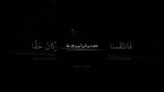 وَلَقَد أَرسَلنا مِن قَبلِكَ رُسُلًا إِلى قَومِهِم | محمد صديق المنشاوي | سورة الروم