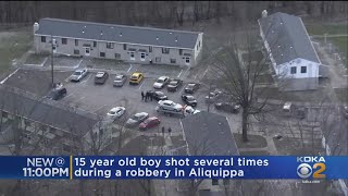 Boy Shot During Robbery In Beaver County