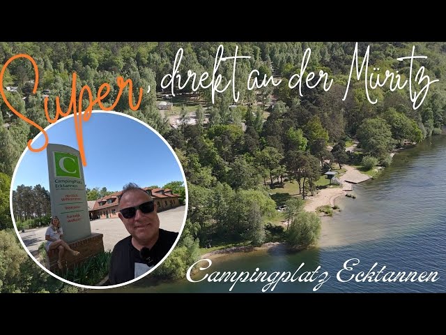 plane zelten WADEO Camping Zeltplane wasserdicht Anti-UV, 3,6 x 4,8 m Camping mit Stangen+Zeltheringen+Abspannleinen, Camping Tent Tarp Ultraleicht, Ideal für Urlaub Wandern Picknick im Freien Color:Black Metallic Camper Boden reinigen Durabil Gelenkarmmarkise 395x250cm Anthrazit