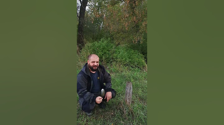 Если бобер валит дерево, сделай это