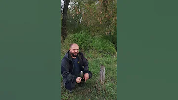 Если бобер валит дерево, сделай это