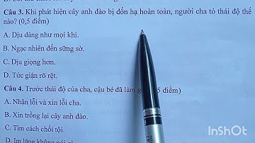 Đề thi giữa học kỳ I môn Tiếng Việt lớp 5 sách Kết nối tri thức với cuộc sống