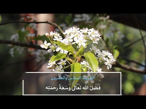 الأربعون النووية الحديث السادس والعشرون 