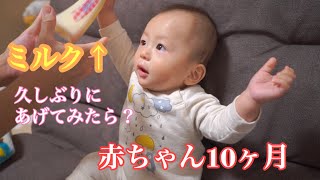 赤ちゃん久しぶりのミルク 生後10ヶ月 母乳とミルクどちらが好きかな Baby 10months After Milk Youtube