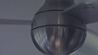 WAC Orb