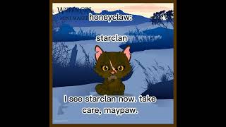 My warrior cats ocs