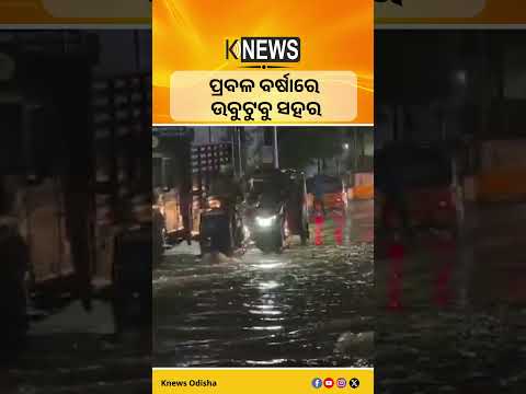 ତାମିଲନାଡୁ : ପ୍ରବଳ ବର୍ଷାରେ ଉବୁଟୁବୁ ସହର #knewsodisha