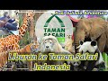 Liburan ke Taman Safari Puncak Bogor Indonesia di akhir tahun 2021 | Taman Safari Indonesia review