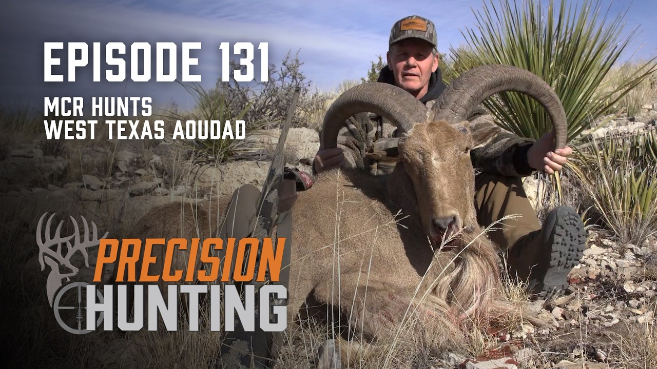Precision Hunting - episode 131 - MCR Hunts West Texas Aoudad