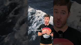 ⚠️🌊 Alerta de tsunami… ¿En España? Hay un 100% de probabilidades de que ocurra dentro de 3 décadas