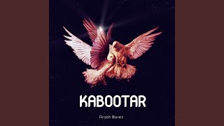 Kabootar - Arash Barez