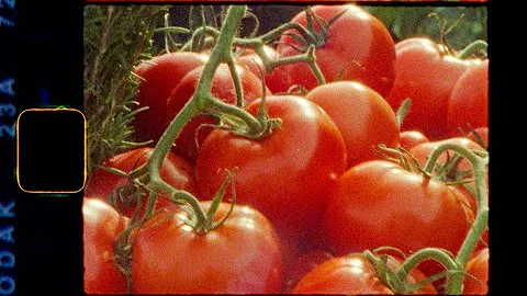 Super 8 - Florence, Italy 2022