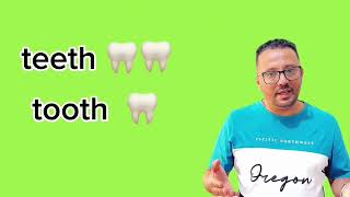 المفرد و الجمع singular & plural