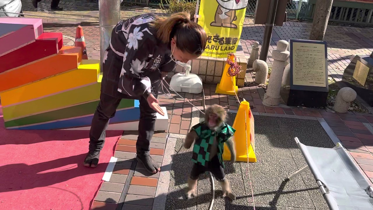 日光猿軍団の路上パフォーマンス