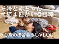 第２子妊婦と赤ちゃんと犬猫のいる日常VLOG