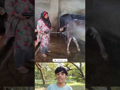 ye hai apna gaon