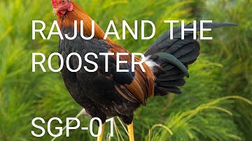 RAJU AND THE ROOSTER // CLASS- V // LESSON- 2 // SGP-1