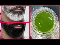 White beard to black naturally and grow long permanently with guava leaves 100% Working At Home