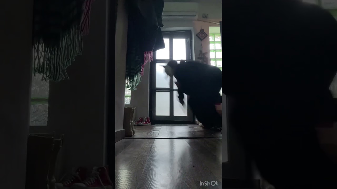 This sound is giving “lost in space” vibes 