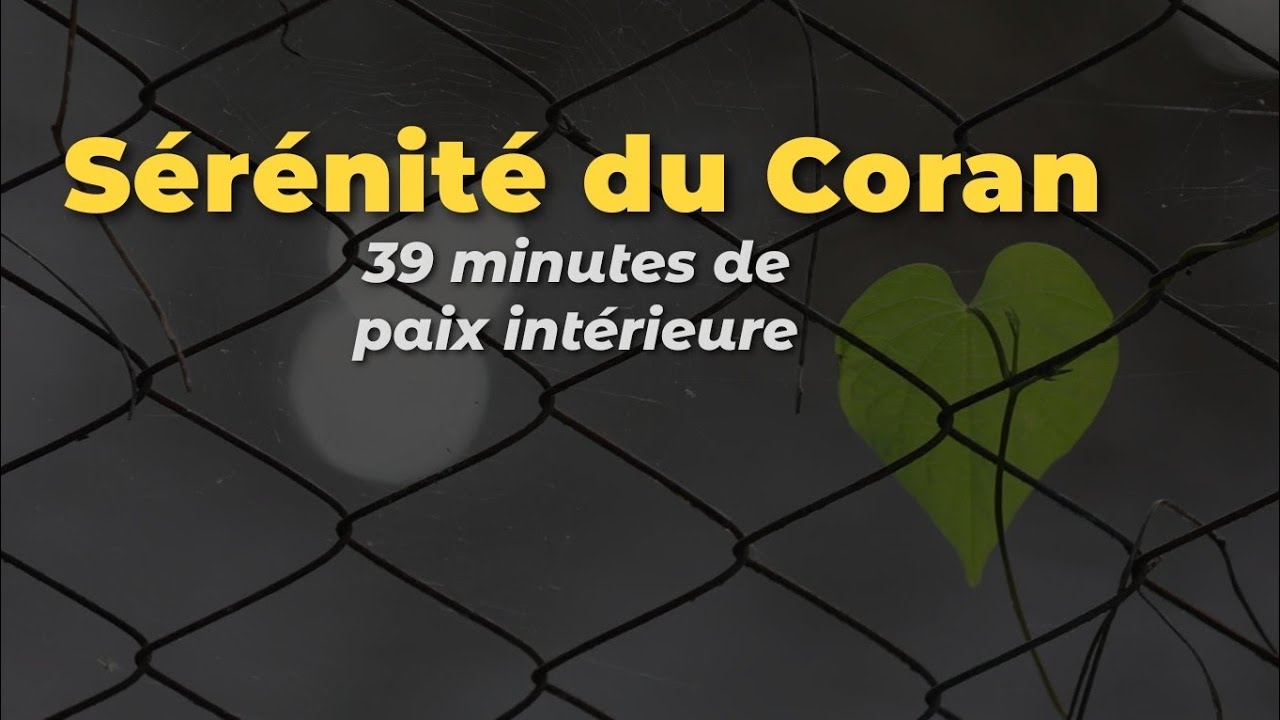 39 Minutes de Coran pour calmer le cœur et l’esprit 