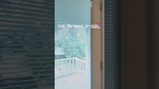 9601 Stony Point Dr video tour