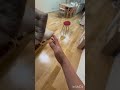 これが今の中学生です
