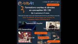 e tribArt  Formations courtes - Conception de visuels 2D/3D avec les techniques innovantes