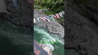 #youtubeshorts #youtuber #youtube #tour #travel #vacation #nature #love #japan