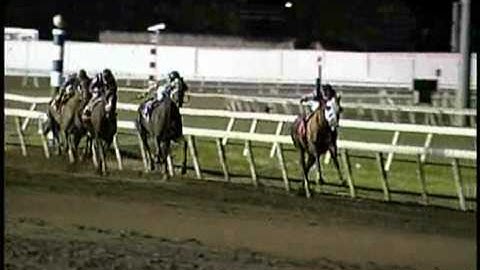 2009 Meadowlands Cup