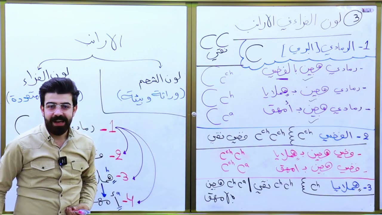 الفصل الخامس | الوراثة | المحاضرة السادسة عشر (اليلات متعددة- لون الفراء في الارانب) #يوسف_حاتم