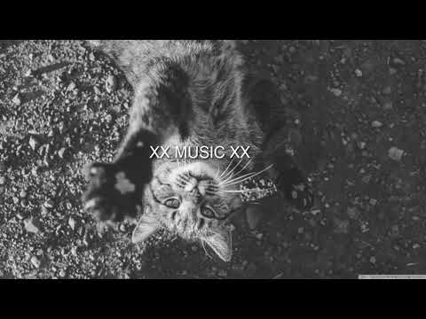 Cat Dealers - Your Body