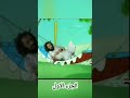 مصطفى المومري توم وجيري 