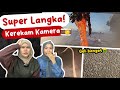 Suwer dah apaan tuh  4 super aneh  langka di laut dan perairan ft kak lia