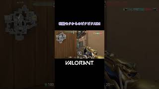 【VALORANT】利敵モクからのビタビタAIM #shorts #valorant #valorantclips #valorantクリップ #valorantキル集 #ヴァロラント
