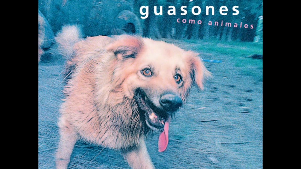Watch Guasones - Estrellas (AUDIO) on YouTube Watch Guasones - Estrellas (AUDIO) on YouTube