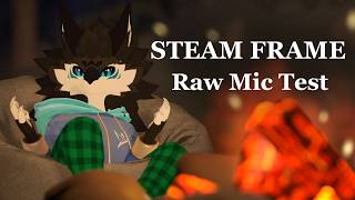 Steam Frame Microphone Quality Test screenshot 1