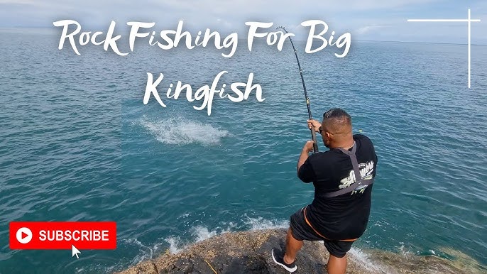 Live Baiting For Kingfish  Start Your Own Battle 