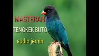 Masteran Burung Tengkek Buto Paling Dicari