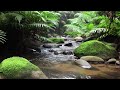 Quiet River Flowing Water for Gentle Rest