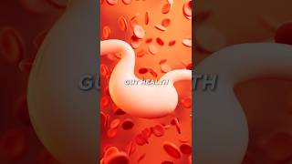 Zinc Carnosine Can Do Wonders For Your Gut