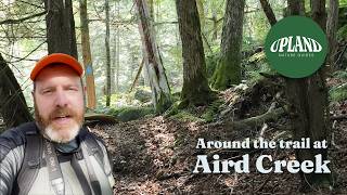 Around the trail at Aird Creek