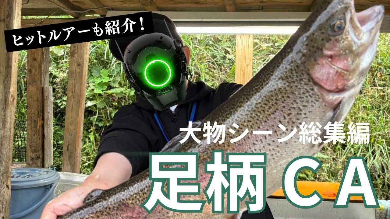 【足柄CA】大物シーン総集編  ボトムと放流直後がカギ？#管釣り#管理釣り場 #エリアトラウト #デイジー ＃ナイアス #ビースパーク #足柄キャスティングエリア #fishing】