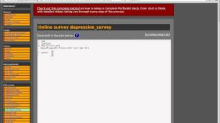 Questionnaire project: enter questions