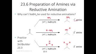 Day 27 lecture stream: reductive amination, reactions with diazonium salts, and other amine details