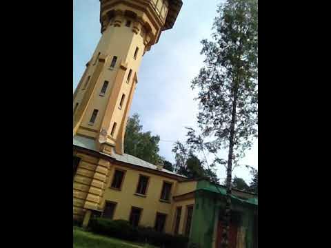 Хорей двухстопный, ямб трёхстопный помогут селфи - YouTube