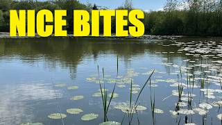 Nice Bites - Fishing the Lift Method in search of Tench